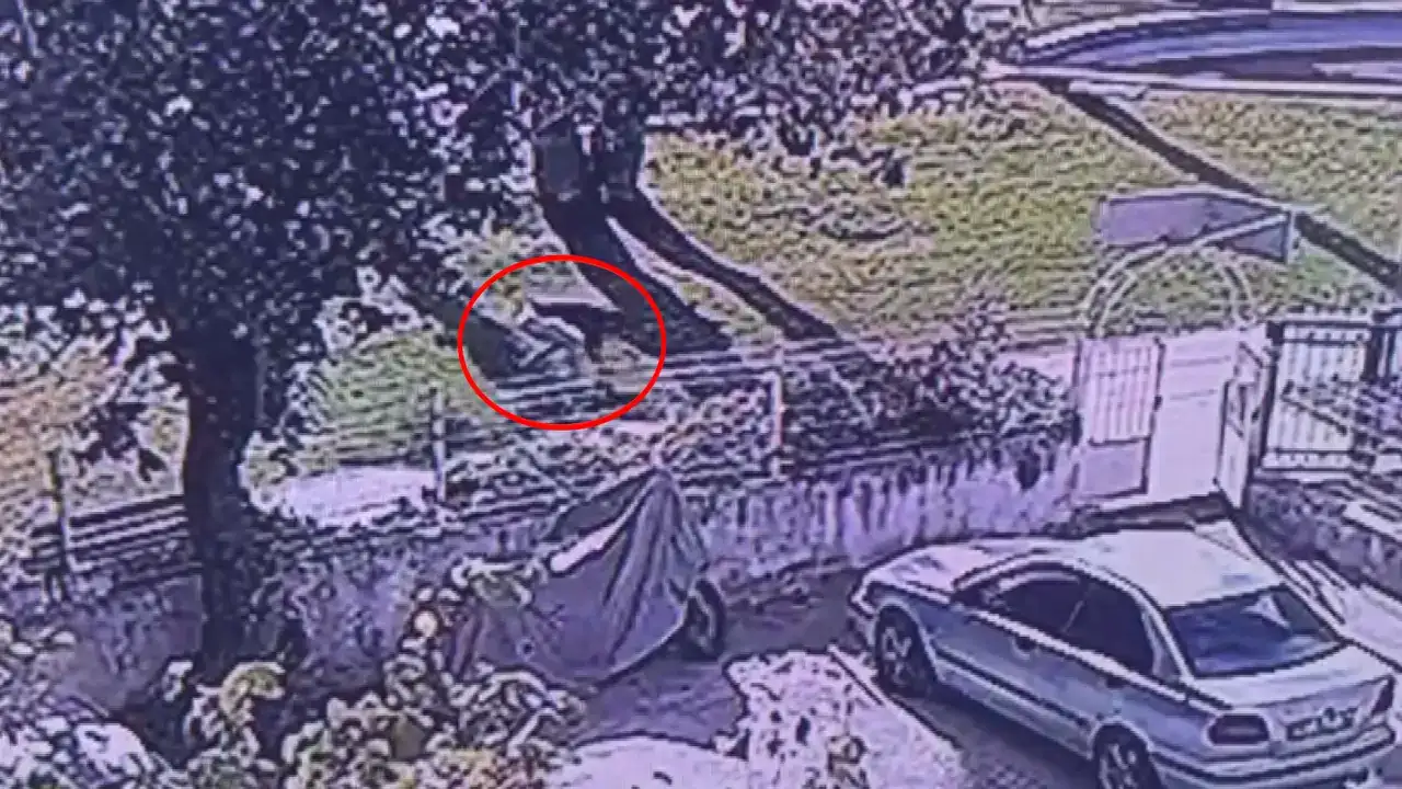 Kepez'de Park Cinayeti Davası: Kalp Krizi Geçiriyor Sandım 2